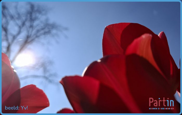 Eerste Kamer verwerpt wetsvoorstel Wtmo