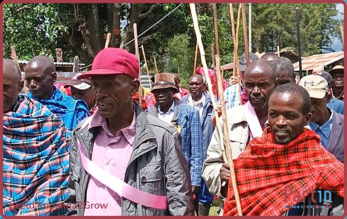 Zeven nieuwe leden, die we graag voorstellen